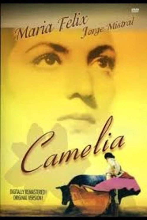 Camelia постер
