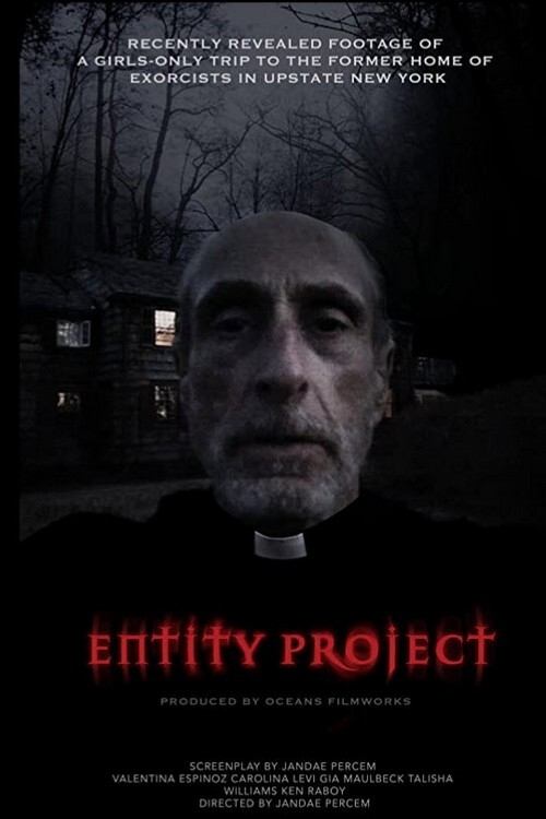 Entity Project постер