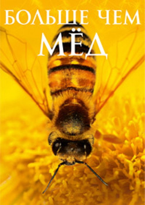 Больше, чем мёд постер