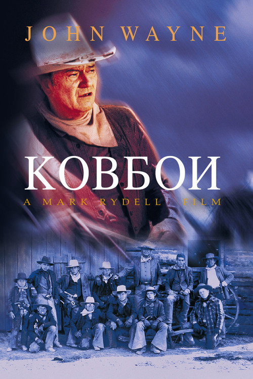 Ковбои постер
