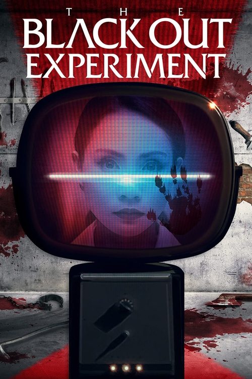 The Blackout Experiment постер