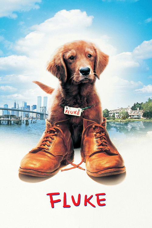 Fluke постер