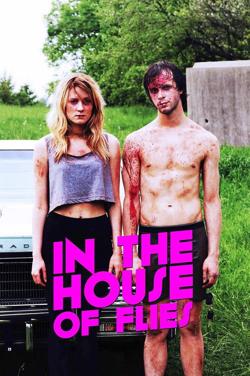 In The House of Flies постер