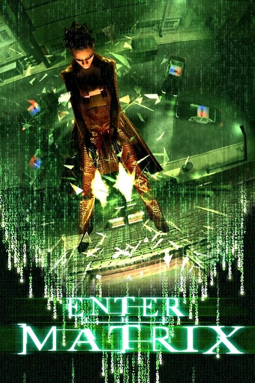 Making 'Enter the Matrix' постер