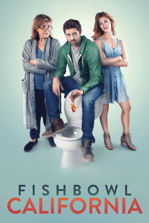 Калифорния постер