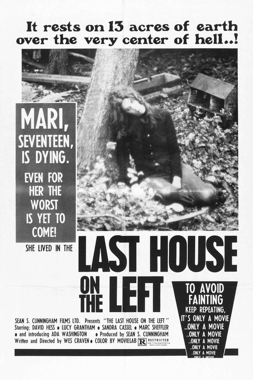 The Last House on the Left постер