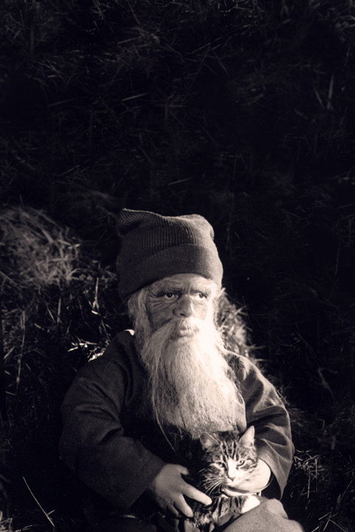 Tomten: A Winter Tale постер