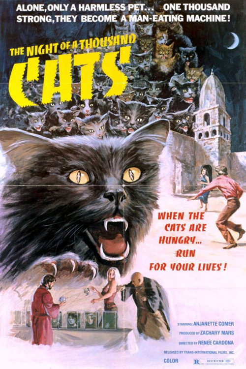 La noche de los mil gatos постер