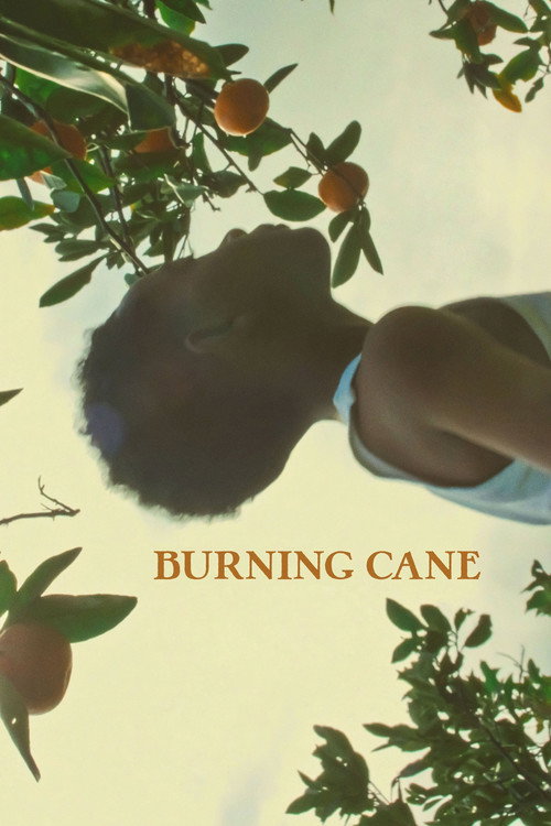 Burning Cane постер