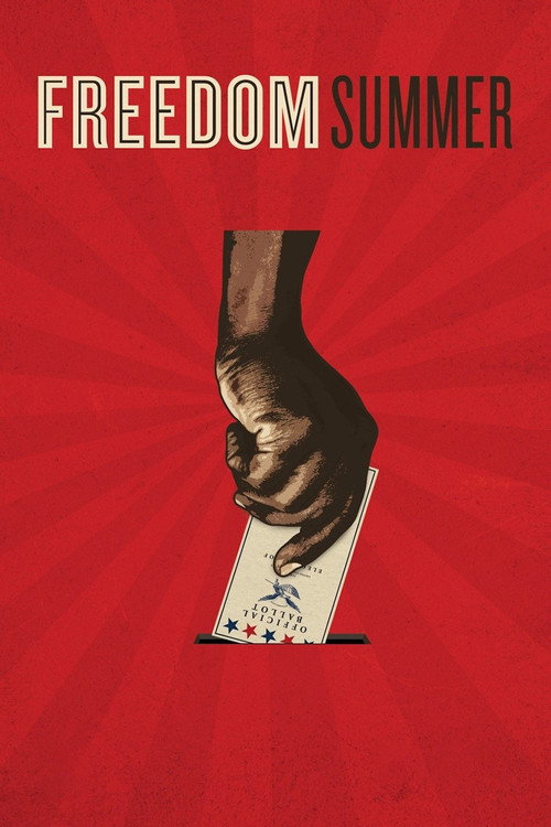 Freedom Summer постер