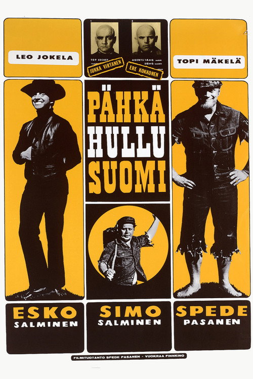 Pähkähullu Suomi постер