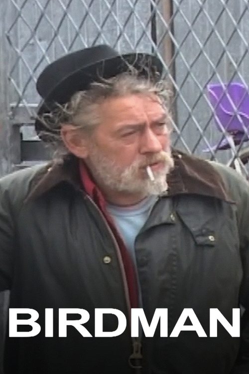 Birdman постер