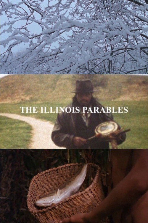 The Illinois Parables постер