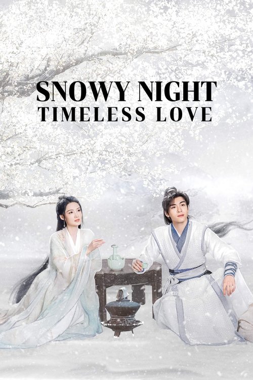 Snowy Night Timeless Love постер