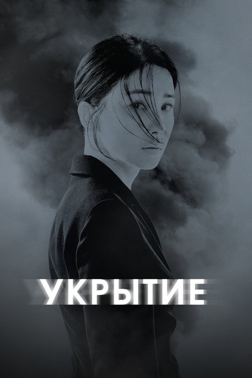 Укрытие постер