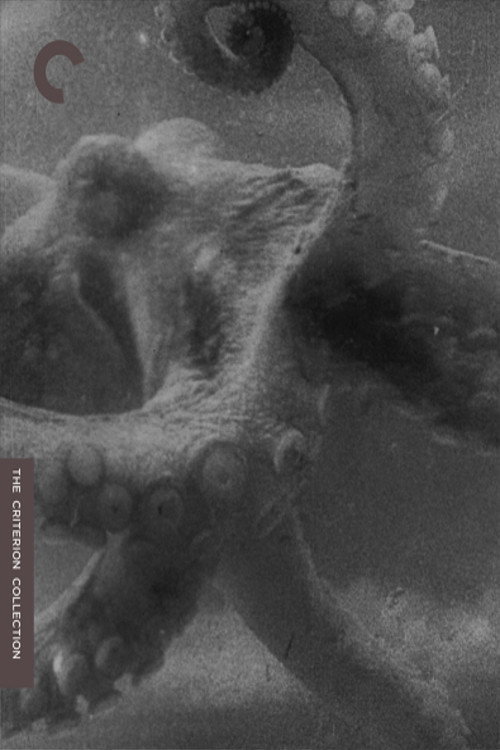 La pieuvre постер