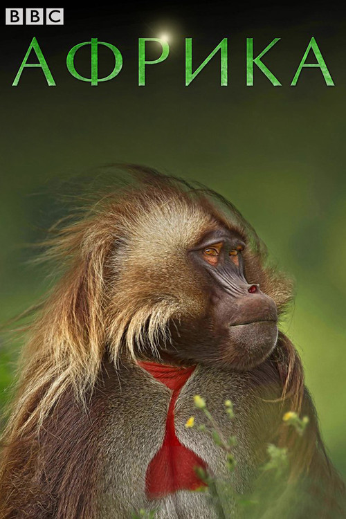 Африка постер