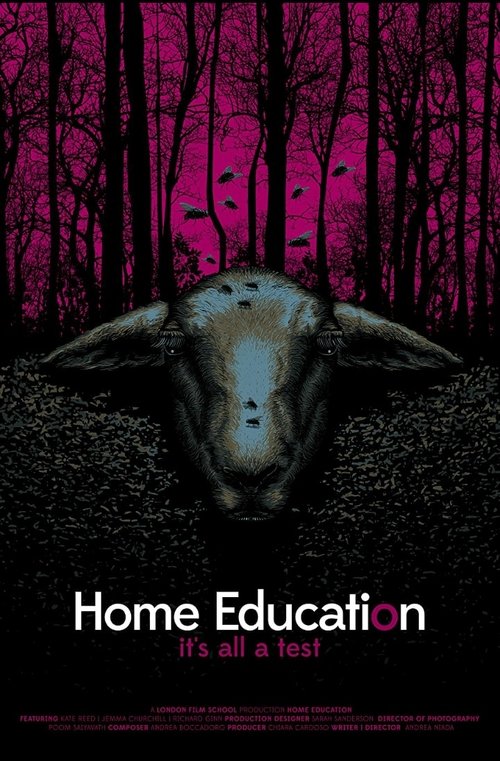 Home Education постер