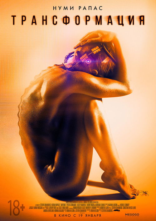 Трансформация постер