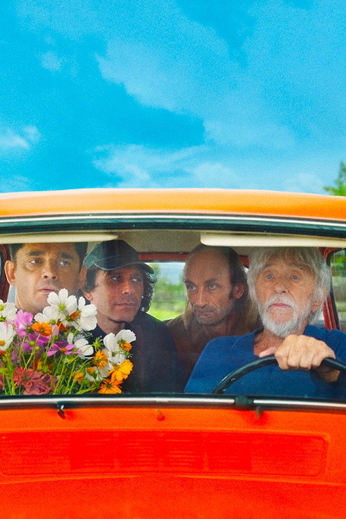 Fêlés постер