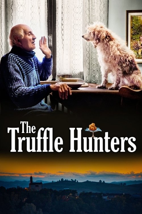 The Truffle Hunters постер