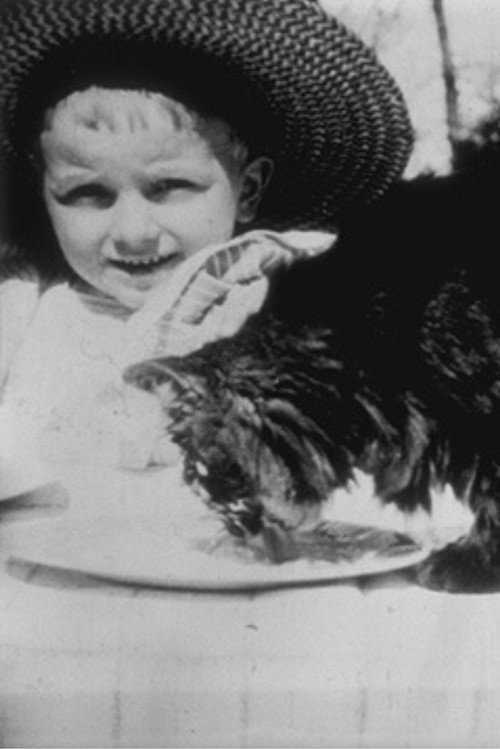 Déjeuner du Chat постер