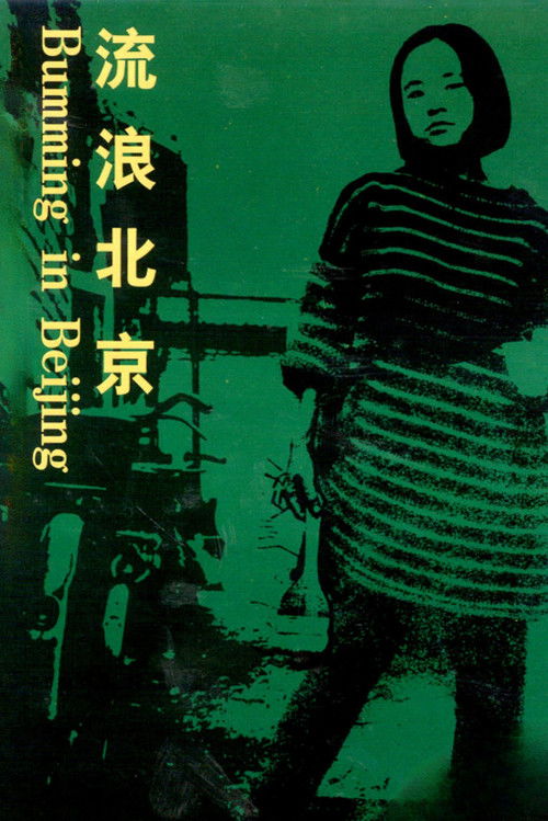 流浪北京 постер