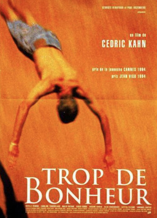 Trop de bonheur постер