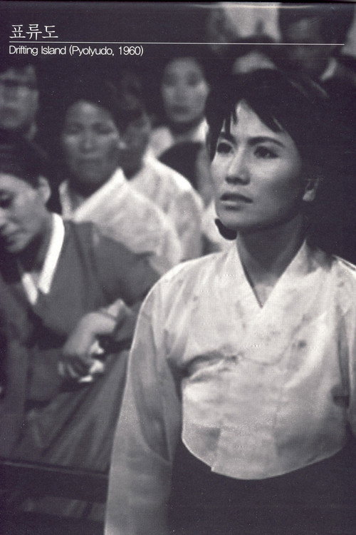 표류도 постер