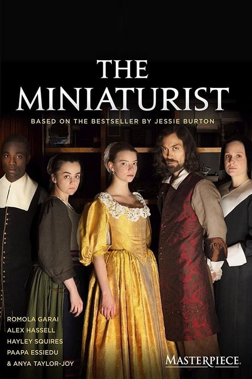 The Miniaturist постер