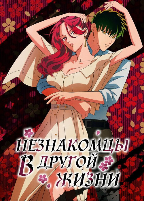 Незнакомец для другой жизни постер