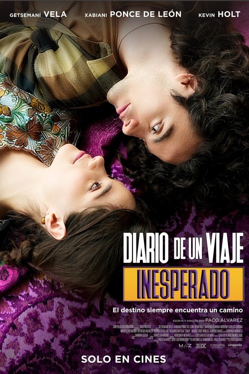 Diario de un viaje inesperado постер