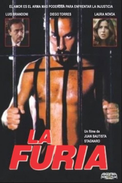 La furia постер