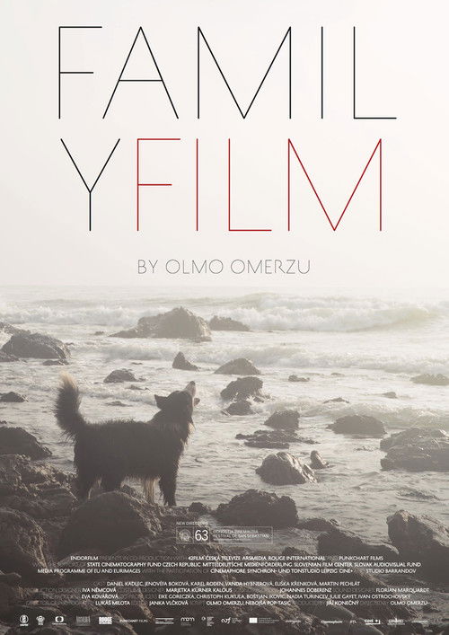 Rodinný film постер