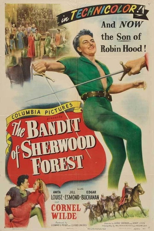 The Bandit of Sherwood Forest постер