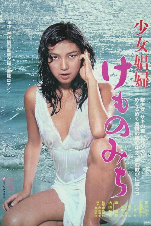 少女娼婦 けものみち постер