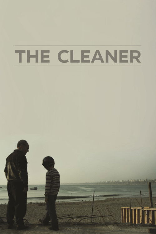 The Cleaner постер