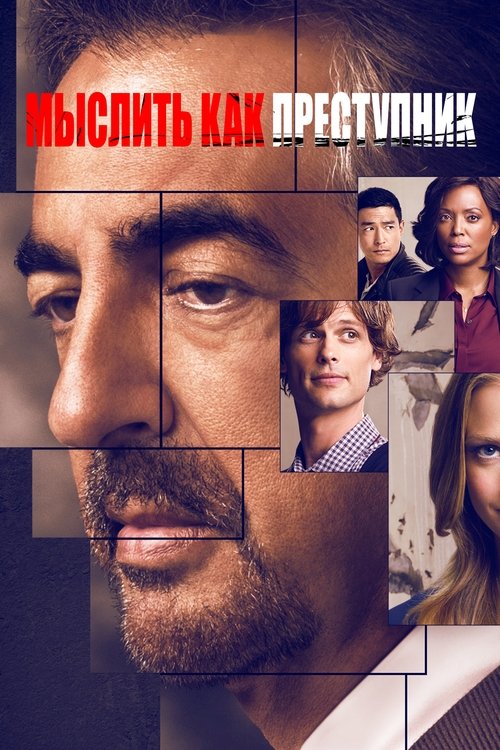 Мыслить как преступник постер