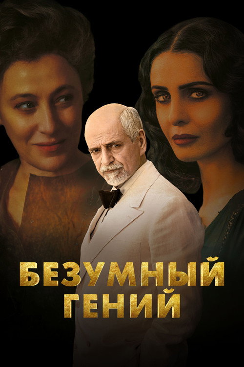 Безумный гений постер