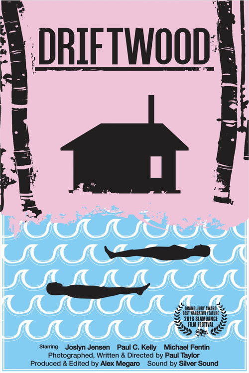 Driftwood постер