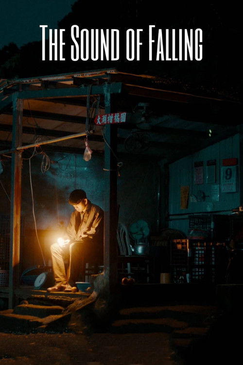 墜落的聲音 постер