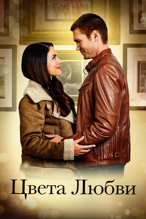 Цвета любви постер