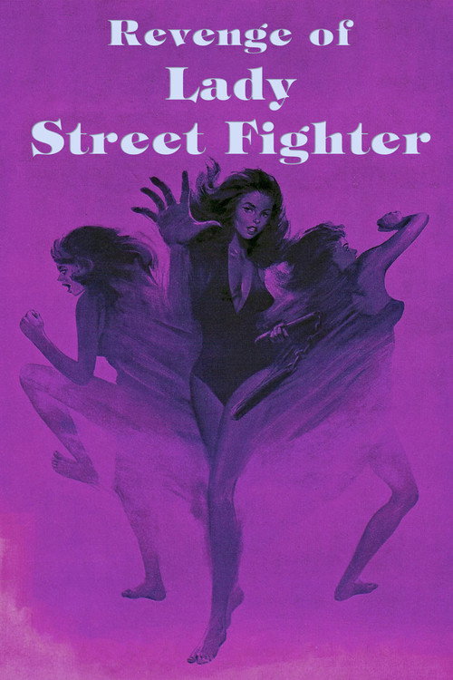 Revenge of Lady Street Fighter постер