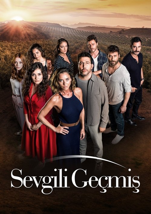 Sevgili Geçmiş постер
