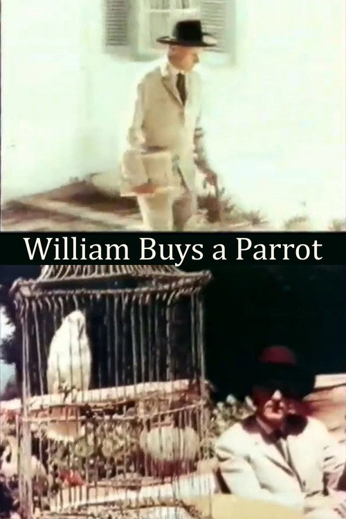 William Buys a Parrot постер