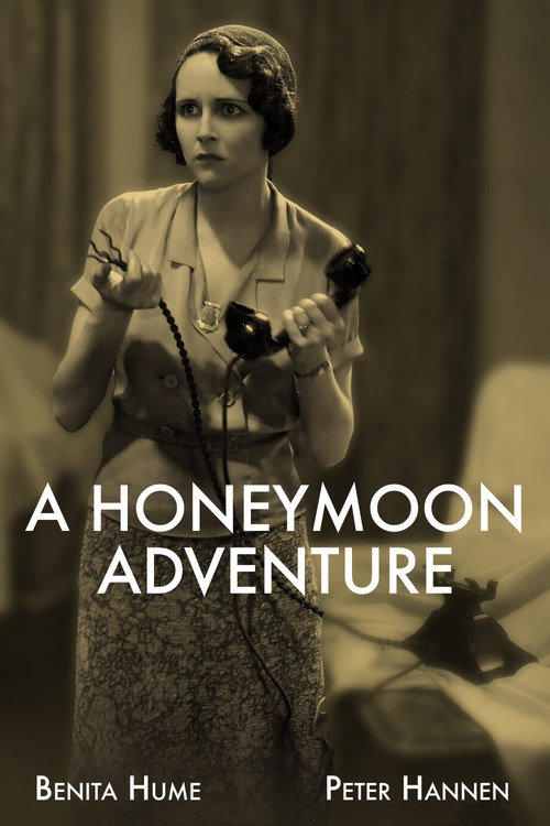A Honeymoon Adventure постер