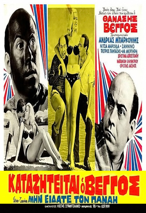 Μην Είδατε τον Παναή; постер