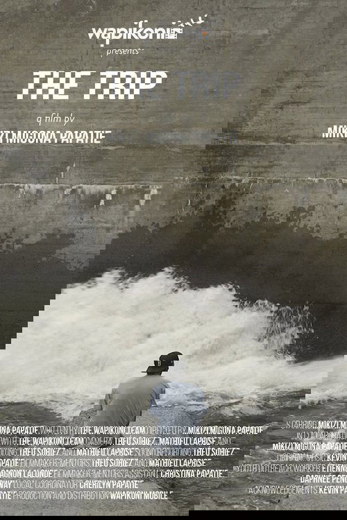 The Trip постер