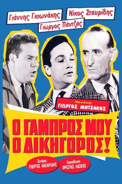 Ο Γαμπρός Μου, Ο Δικηγόρος! постер
