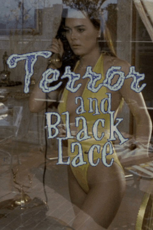 Terror y encajes negros постер